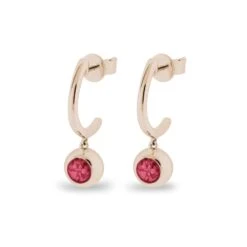 Rondure Crescent Memorial Ashes Earrings 29 Rondure Crescent Memorial Ashes Earrings -Inscripture EW E 205 2 RG RED Rose Gold Ashes Earrings Ashes Jewellery 1000x1000 1
