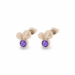 Rondure Array Memorial Ashes Earrings -Inscripture EW E 206 2 RG PURPLE Rose Gold Ashes Earrings Ashes Jewellery 1000x1000 1