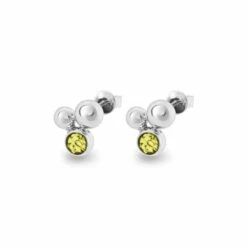 Rondure Array Memorial Ashes Earrings -Inscripture EW E 206 2 SSWG YELLOW Ashes Earrings Ashes Jewellery 1000x1000 1