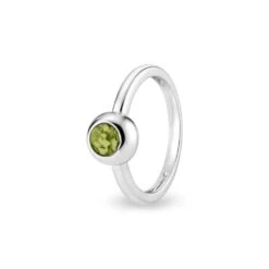 Rondure Memorial Ashes Ring -Inscripture EW R 356 SSWG GREEN Ashes Ring Ashes Jewellery 1000x1000 1