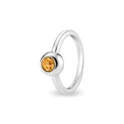 Rondure Memorial Ashes Ring -Inscripture EW R 356 SSWG ORANGE Ashes Ring Ashes Jewellery 1000x1000 1