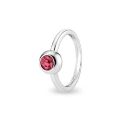 Rondure Memorial Ashes Ring -Inscripture EW R 356 SSWG RED Ashes Ring Ashes Jewellery 1000x1000 1