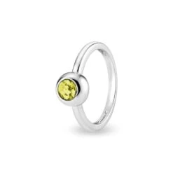 Rondure Memorial Ashes Ring -Inscripture EW R 356 SSWG YELLOW Ashes Ring Ashes Jewellery 1000x1000 1