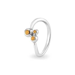 Rondure Array Triple Memorial Ashes Ring -Inscripture EW R 359 SSWG ORANGE Ashes Ring Ashes Jewellery 1 1000x1000 1