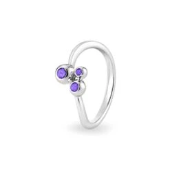 Rondure Array Triple Memorial Ashes Ring -Inscripture EW R 359 SSWG PURPLE Ashes Ring Ashes Jewellery 1000x1000 1
