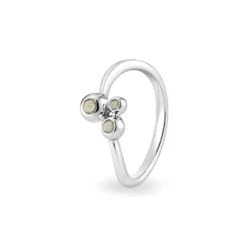 Rondure Array Triple Memorial Ashes Ring -Inscripture EW R 359 SSWG TRANSPARENT Ashes Ring Ashes Jewellery 1000x1000 1