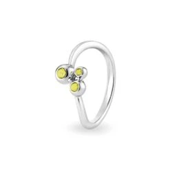 Rondure Array Triple Memorial Ashes Ring -Inscripture EW R 359 SSWG YELLOW Ashes Ring Ashes Jewellery 1000x1000 1