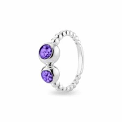Rondure Double Array Bubble Band Memorial Ashes Ring -Inscripture EW R 361 SSWG PURPLE Ashes Ring Ashes Jewellery 1000x1000 1