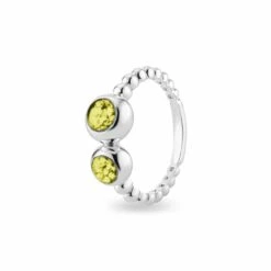 Rondure Double Array Bubble Band Memorial Ashes Ring -Inscripture EW R 361 SSWG YELLOW Ashes Ring Ashes Jewellery 1000x1000 1