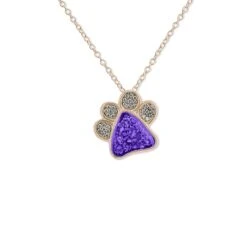Unisex Paw Print Memorial Ashes Pendant -Inscripture ew p 133 rg purple Rose gold Ashes Necklace Ashes Jewellery 1000x1000 1