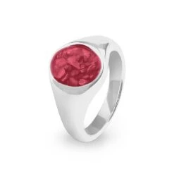 Unisex Shield Memorial Ashes Ring -Inscripture ew r 339 sswg red Ashes Ring Ashes Jewellery 1000x1000 1