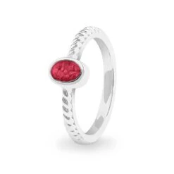 Petite Guard Memorial Ashes Ring -Inscripture ew r 344 sswg red Ashes Ring Ashes Jewellery 1000x1000 1