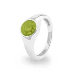 Unisex Pride Memorial Ashes Ring -Inscripture ew r 347 sswg green Ashes Ring Ashes Jewellery 1000x1000 1