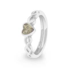 Beau Memorial Ashes Ring -Inscripture ew r 353 sswg transparent Ashes Ring Ashes Jewellery 1000x1000 1